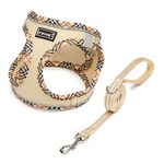 DORAMIO Step-in Dog Harness and Leash Set, Soft Mesh No-Chock Reflective Breathable Easy Walk Lightweight Vest Harnesses with Safety Buckle for Small Medium Dogs, Cats, Puppies (Beige, XXS)