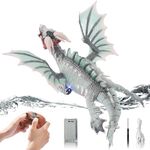 CAROX DIY RC Boat,Remote Control Dragon for Kids Ages 8 9 10 11 12, 2.4Ghz RC Dragon with Light and Squirt,1000mAh Remote Control Boat Toys for Boys