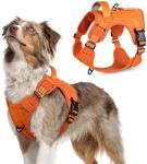 rabbitgoo Tactical Dog Harness Medi