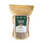 StoreHouse Foods Hard Red Spring Wheat Berries,2.5 kg (5.5 lb),Raw,Bulk,Non-GMO,Vegan - Use for Flour,Grain or Bread - Product of Canada (Pack of 1)