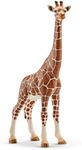 Schleich - Giraffe, Female