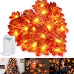 Chefic Maple Leaves Fall Decoration Lights 3M 20 LED, Autumn Fall Garland String Lights Fairy Lights, Battery Operated Outdoor Indoor Decorations for Halloween Thanksgiving Christmas Festival Party