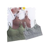 Acnos Pink Green Grey Women Cotton Padded Wire Free Sports Bra Fitness Yoga Gymwear Fashionable Lifestyle Outdoor Life Free Size Pack of 3