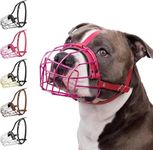 BRONZEDOG Pitbull Dog Muzzle Metal 