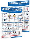 The Dumbbell Workout