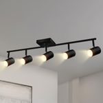 BoostArea Track Lighting Kit, Kitch