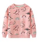 Little Hand Girls Sweatshirt Toddler Girls Dinosaur Jumpers Long Sleeve Pullover Little Girls Kids Tops Shirts Age 6-7 Years