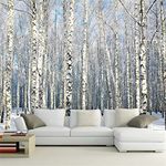 Winter Birch Forest Landscape Large Wall Murals, 3D Wall Paper Natural Scenery Mural Wallpaper, 3D Wall Stickers Durable and Waterproof Apply to Sofa Wall Bathroom(144"W x 100"H)