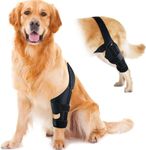 Dog Knee Brace for Hind and Rear Le