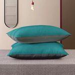 Cloth Fusion Microfiber Bed Pillow Set of 2 Soft Pillows for Sleeping (17x27 Inches, Teal-Grey)