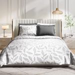 Wakefit Cotton Fitted Bedsheet | 300 TC Elastic Fitted Sheet, King Bed Bedsheet with 2 Pillow Covers | Kathy - 78x72 inches