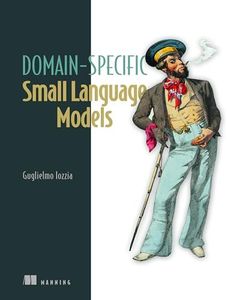 Domain-Specific Small Language Models: Efficient AI for local deployment