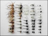 50 Summer Trout Fishing Flies, Dry Flies, Named Varieties and mixed sizes (All Mixed)