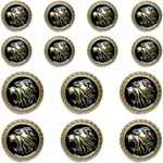 Ani Accessories Abs Golden 3D Lion Head Shank Button Embedded Enameled Lucite Round Coated Shank Abs Button for Blazer Suits DIY Art & Crafts (Pack of 8 pcs Small 6 Pcs Long, Lucite Blue)