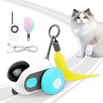 LYsolcusnee Remote Control Cat Toy,