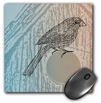 3dRose mp_123716_1 8 x 8-Inch Happy Bird with Bird House Sketch Mouse Pad