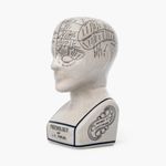 Assorted Collections Phrenology Head Ceramic Ornament Collectable Retro Bust 23cms Crackle L N Fowler