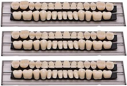 MIBICIRI 84 PCS Acrylic Resin Teeth Dental Denture Dental Synthetic Resin Teeth Denture Halloween Horror Prop 23 A2 ((28 Pcs/3 Set))