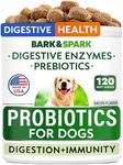 Probiotics for Dogs - Gas, Diarrhea