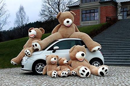 Teddy Bear