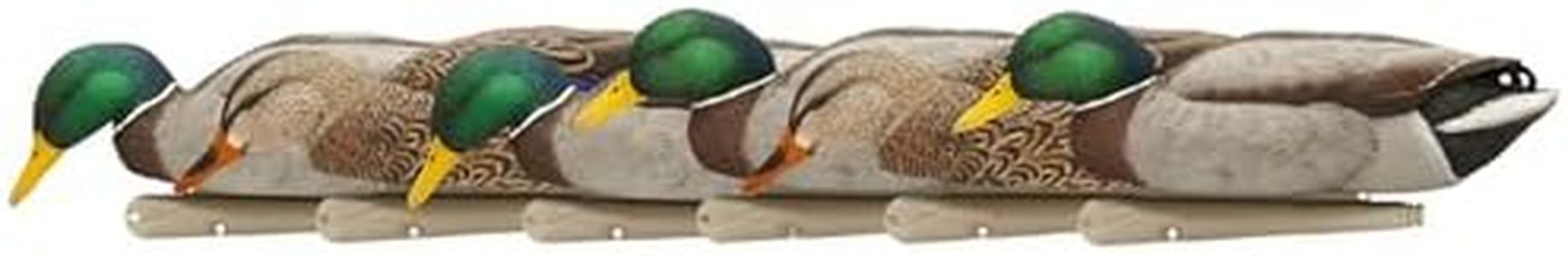 Avian X Topflight Backwater Mallards Duck Decoys Pack, Ultra Realistic Floating Mallard Hunting Decoy, 3 Feeding Postures, Multicolor, 6 Pack