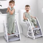 Potty Training Seat & Toddler Step 