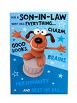 Cute Funny Son-In-Law Birthday Greeting Card Crackers Range Cards New