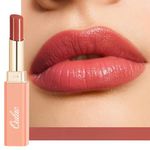 Oulac Apricot Peach Lipstick - Moisture Shine Hydrating Lipstick & Tinted Lip Balm for Dry Lips, Medium Coverage Lip Colour | Juicy Look, Glossy Finish, Vegan, Cruelty-Free, Apricot Crush (16)