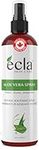 Ecla Skin Care (8oz / 240 ml) After Sun Aloe Vera Spray Mist for Face, Body & Hair - 100% Pure Natural Aloe Vera Gel - Soothing, Moisturizing for Sunburn, Razor Bumps - Premium Organic Real Aloe Juice