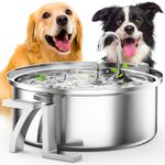 Filtered Water Dispenser For Dogs