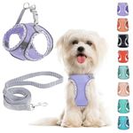 Small Dog Harness and Leash Set, No Pull Adjustable Reflective Breathable Mesh Step in Dog Harness Easy Walk Dog Harness for Extra Small/Small Medium Dog Cats Puppy (Purple, S)