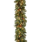 National Tree 9 Foot by 10 Inch Carolina Pine Garland with Flocked Cones and 100 Battery Operated LED Lights (CAP3-306-9A-B1)