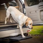 Otto Step Pet Ramp Step Helps Dogs Get in & Out of Car Van SUV | Portable Lightweight Dog Ramp | Simply Slide into 2 inch Trailer Hitch Receiver | No Tools Needed | Essential Pet Gear | Made in USA