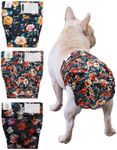 CuteBone Washable Dog Diapers Female No Tail Hole 3 Pack Reusable Doggie Period Training Pants for Docked-Tail Frenchie French Bulldog Boston Terrier Without Tail WWD33XL