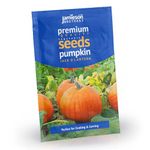 Jamieson Brothers® Pumkin Seeds (Pumpkin Jack 'O Lantern) Vegetable Seeds