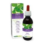 Ginkgo (Ginkgo biloba) Leaves Alcohol-Free Mother Tincture Naturalma - Liquid Extract Drops 120 ml - Food Supplement - Vegan