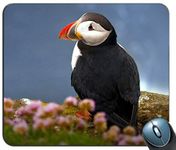 Yanteng seabird atlantic puffin Personalized Rectangle Mouse Pad,Printed Non-Slip Rubber Comfortable Customized Computer Mouse Pad Mouse Mat Mousepad