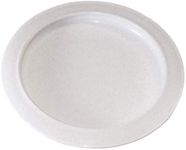 Plate with Curved Inner Lip, 9 Inch Diameter