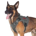 Tactical Vest For Dogs