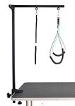 Gravitis Foldable Pet Grooming arm with clamp for Large and Small Dogs - 35 inch Height Adjustable and Free Two No Sit Haunch Holder Pet Supplies (Black)