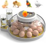 Egg Incubators for Hatching Eggs, Chicken Egg Incubator with Egg Candler, Automatic Turning, Temperature & Humidity Control, Suitable Hatching for Chicks, Duck, Quail