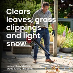 Mountfield Electric Leaf Blower – Lightweight, Powerful 270V