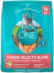 Purina ONE Natural Dry Cat Food, Te