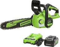 Greenworks 24V 12" Brushless Chainsaw, 4Ah USB Battery and Charger Included CS24L410, Green