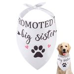 arricraft 1 Pc Pet Dog Bandana, White Cotton Triangle Pet's Bandana "Promoted to Big Sister" Words Footprints Washable Cat Scarf Bibs Accessories for Big Pet Dogs and Cats Gifts 55x55x78cm