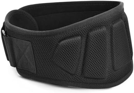 Cinturon Lumbar Gimnasio, S-XL, Cinturón Entrenamiento Ajustable, Cinturon Halterofilia con Curvado Doble Acolchado, Cinturon Levantamiento Hombre Mujer Soporte Espalda,Cinturones Musculación Gym (L)