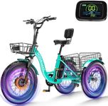 ABORON 20" Electric Tricycle for Ad
