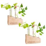 Lazy Gardener Plant Propagation Station | Test Tube Planter with Wooden Holder | Table Top Mango Wood Planter for Living Room, Office & Home Decor (Set of 2)