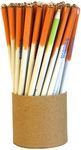 bioQ TRI -COLOR Indian Flag Color SEED PENCIL (NATIONAL FLAG COLOR SEED PENCIL) PACK OF 50 PENCIL