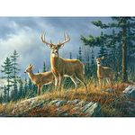 DIY 5D Diamond Painting by Numbers Kits, Deer Forest Animals, Full Drill Rhinestones Paint with Diamonds Crystal Diamond Art (Deer)